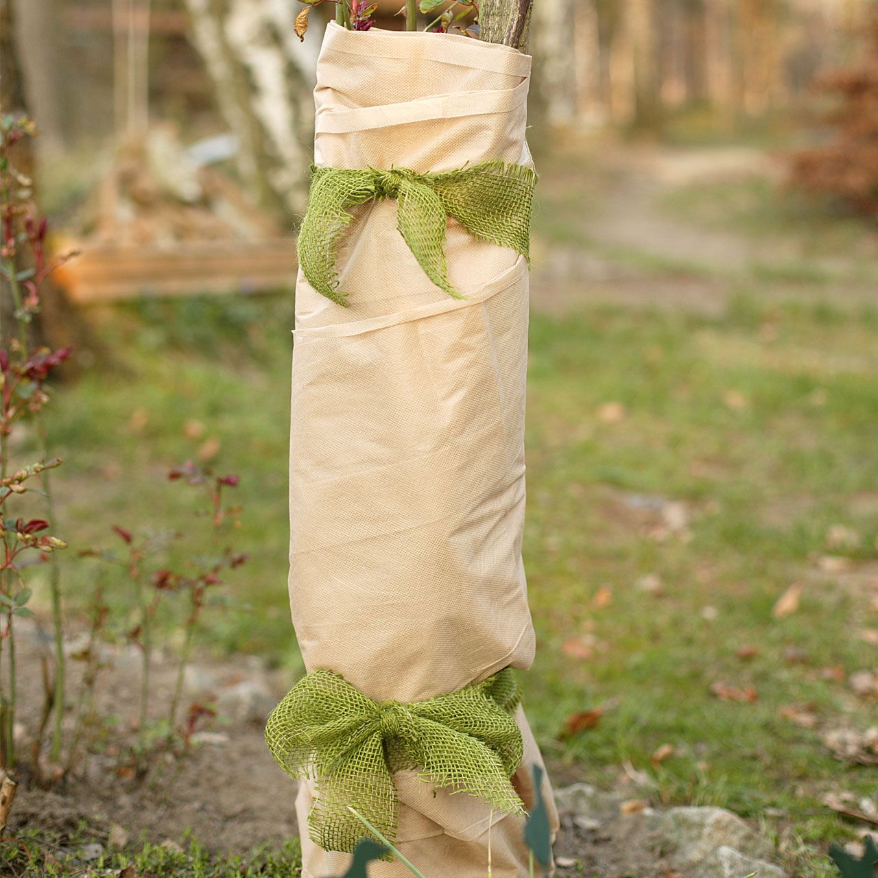 V27015_Wintervliesgewebe_beige_657555b47892f6_1280x1280.jpg V27015_Wintervliesgewebe_beige_657555b47892f6_1280x1280.jpg