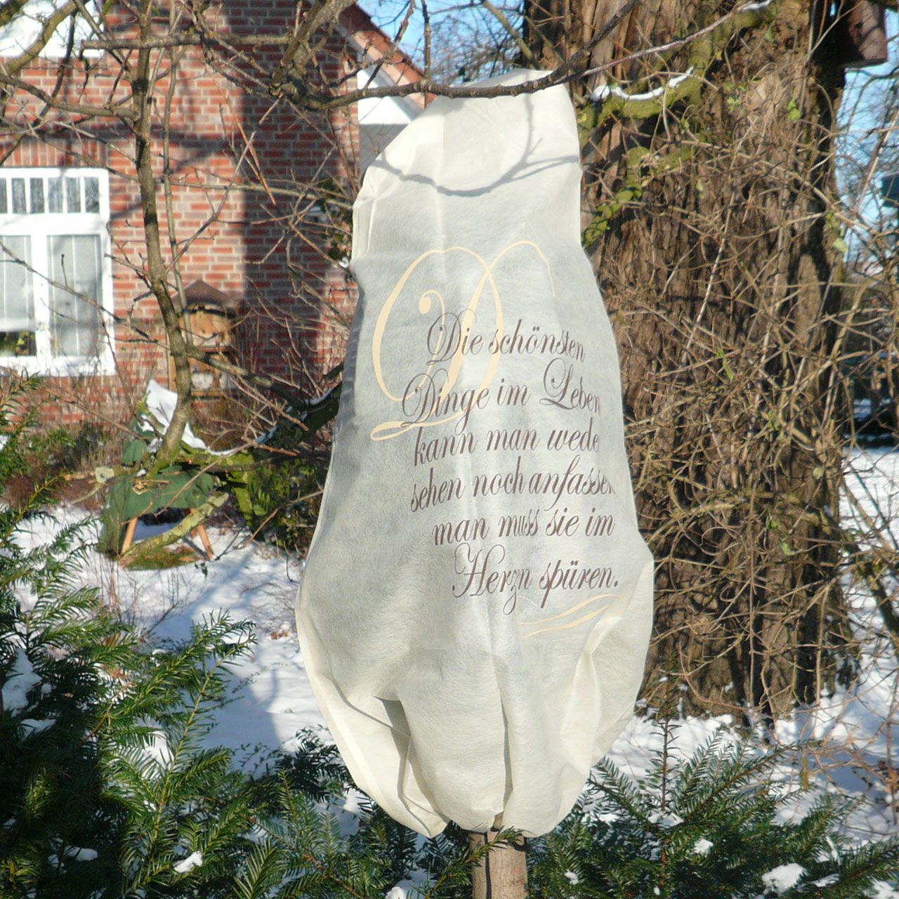 V28237_Winterschutz-Vlieshaube_die_schoensten_Dinge_3_1280x1280.jpg V28237_Winterschutz-Vlieshaube_die_schoensten_Dinge_3_1280x1280.jpg