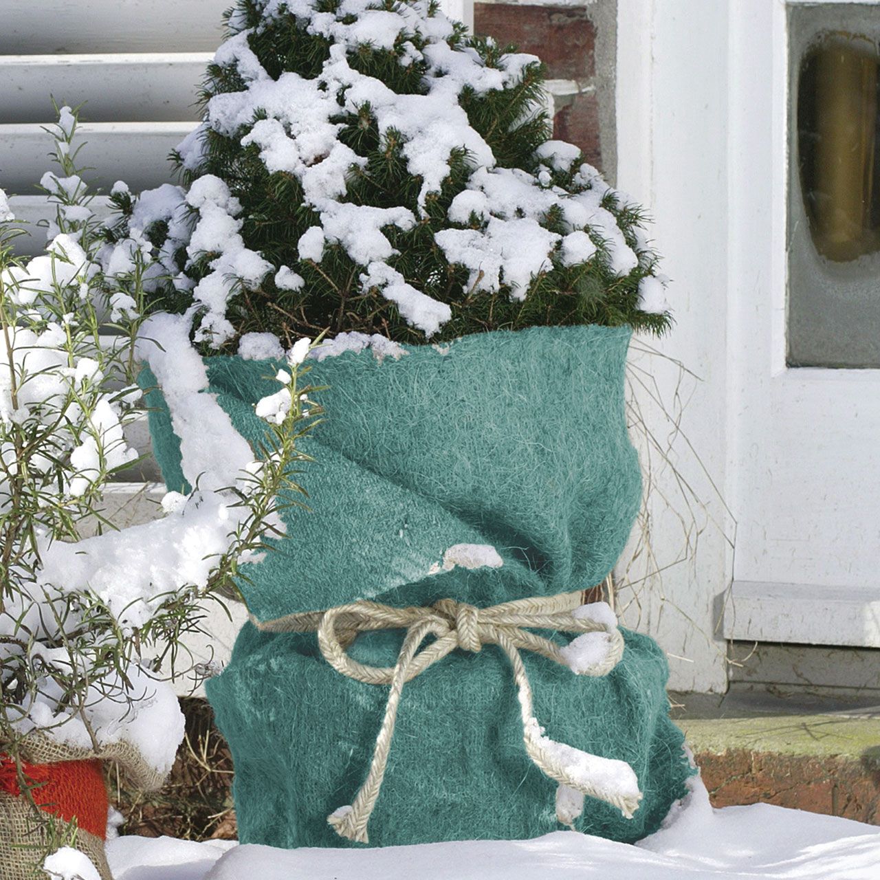 V29112_Winterschutzmatte_Jute-Filz_petrol_1_1280x1280.jpg