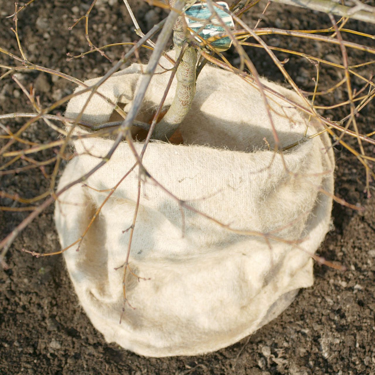 V27017_Winterschutzmatte_Jute-Filz_natur_257556452025a2_1280x1280.jpg V27017_Winterschutzmatte_Jute-Filz_natur_257556452025a2_1280x1280.jpg