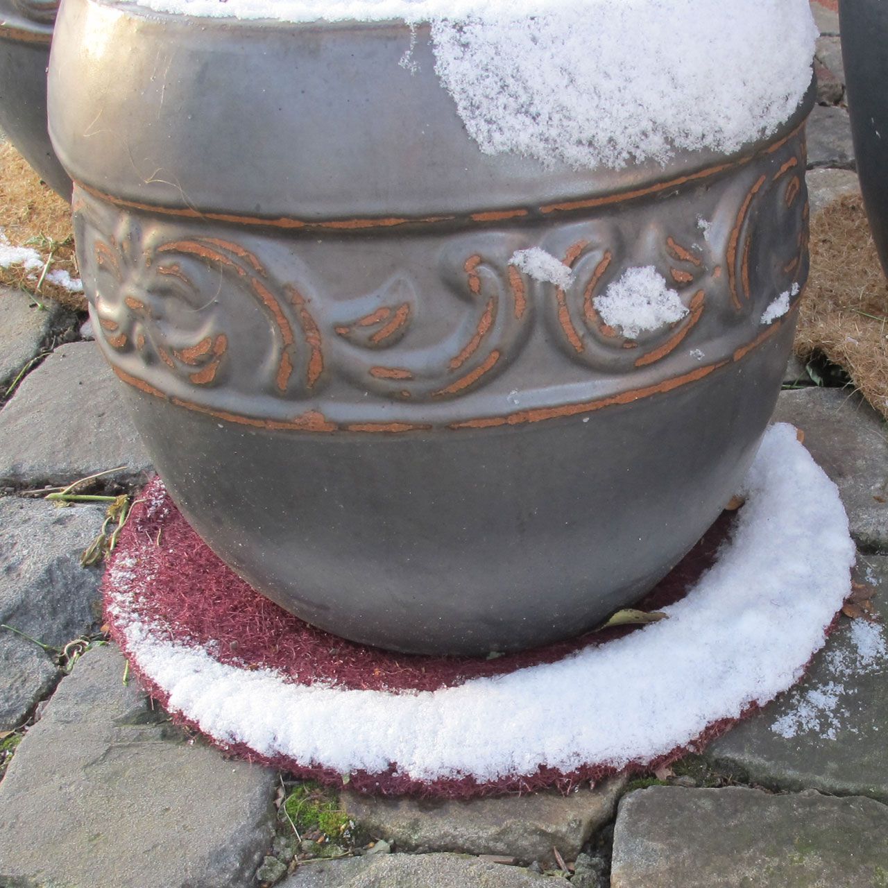 V28440_Winterschutz-Disc_Kokosscheibe_mit_Loch_waldbeere_2_1280x1280.jpg