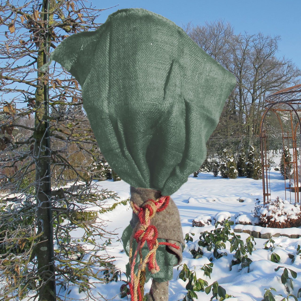 V27061_Jutesack_als_Winterschutz_robustes_Naturmaterial_gruen_1280x1280.jpg V27061_Jutesack_als_Winterschutz_robustes_Naturmaterial_gruen_1280x1280.jpg