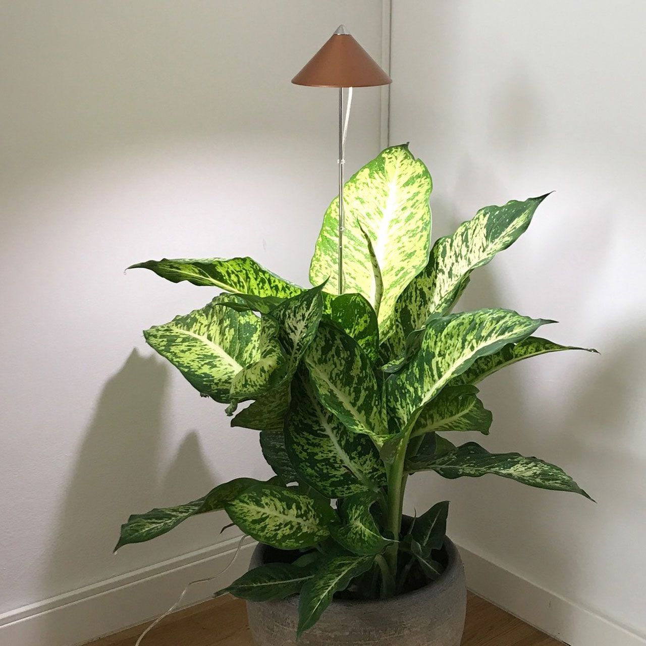 A3756_LED-Pflanzenlampe_SUNLiTE_kupfer_3_1280x1280.jpg A3756_LED-Pflanzenlampe_SUNLiTE_kupfer_3_1280x1280.jpg