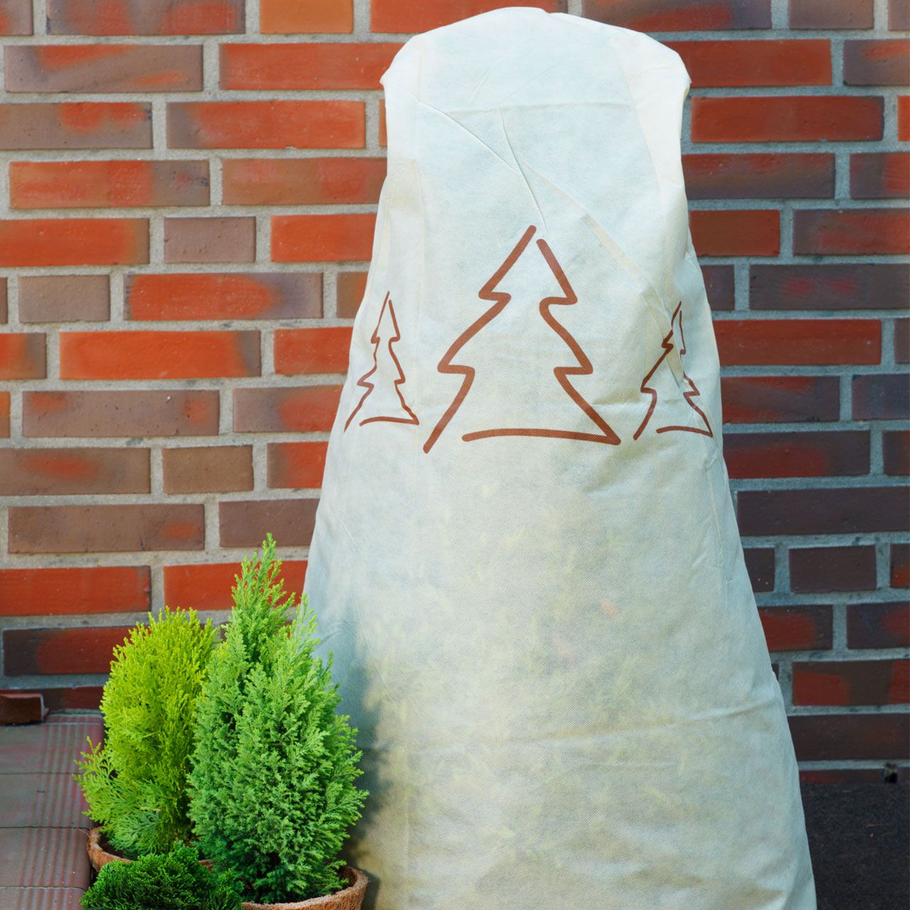V28433_Winterschutz_Vlieshaube_Tannenbaeume_beige-braun_1_1280x1280.jpg