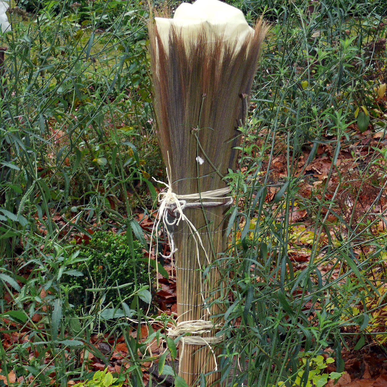 V27143_Winterschutzmatte_California_naturbelassene_Farnmatte_natur_10_1280x1280.jpg V27143_Winterschutzmatte_California_naturbelassene_Farnmatte_natur_10_1280x1280.jpg