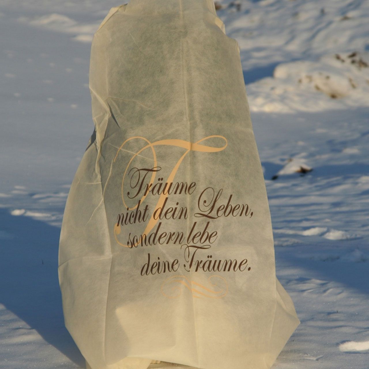 V28240_Winterschutz-Vlieshaube_Traeume_nicht_1280x1280.jpg V28240_Winterschutz-Vlieshaube_Traeume_nicht_1280x1280.jpg