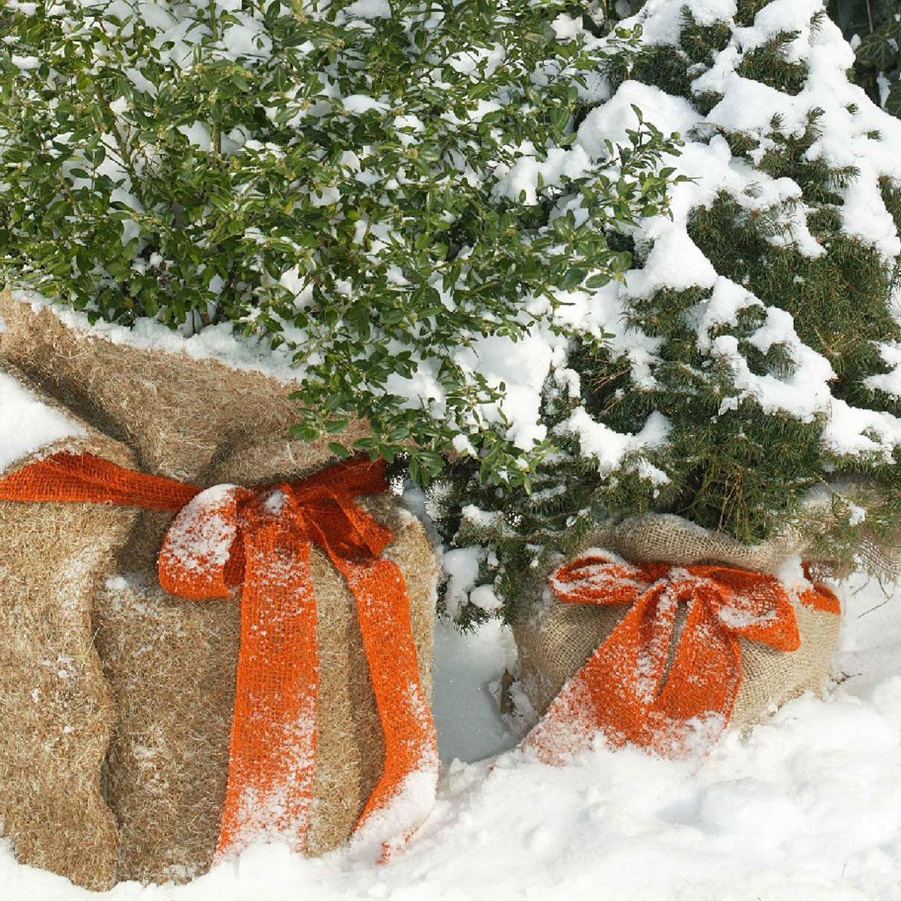 V25022_Winterschutz_Deko-Juteband_orange_35755725ce7d0b_1280x1280.jpg V25022_Winterschutz_Deko-Juteband_orange_35755725ce7d0b_1280x1280.jpg