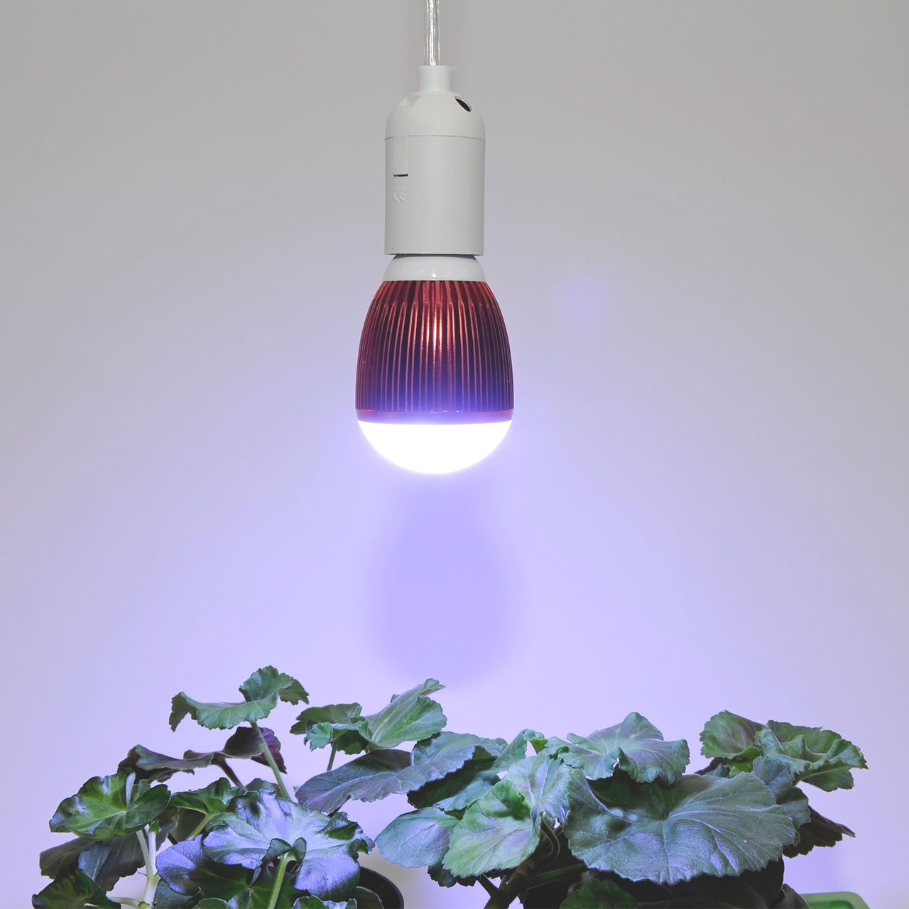 2x4x LED Grow Lampe Leuchtmittel Glühbirne E27 Pflanzenlampe Wachsen Licht Birne 