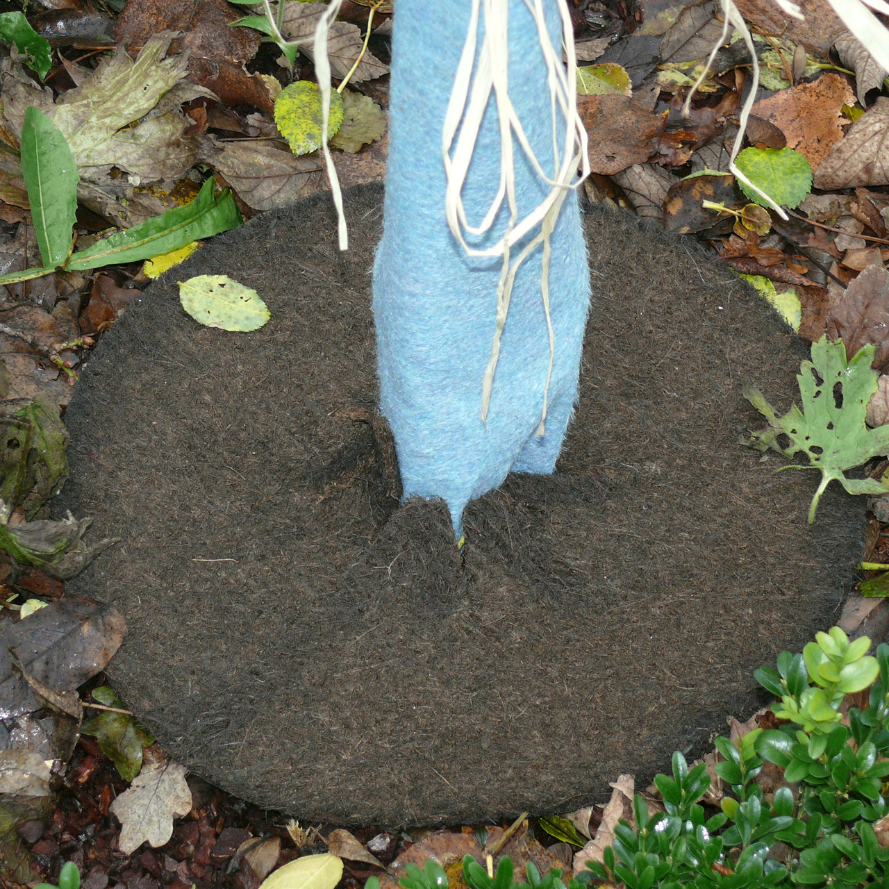 Kokos-Mulchscheibe 45cm Kokosmatte Winterschutz Frostschutz
