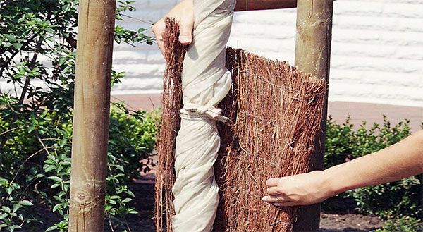 Pflanzenschutz für den Winter 60 * 110cm Nicht gewebtes Gewebe Wiederverwendbare Winddichte Kälte-Frost-Schutztasche Wrap warme Decke Tasche für Blumen Sträucher Bäume Pflanze 