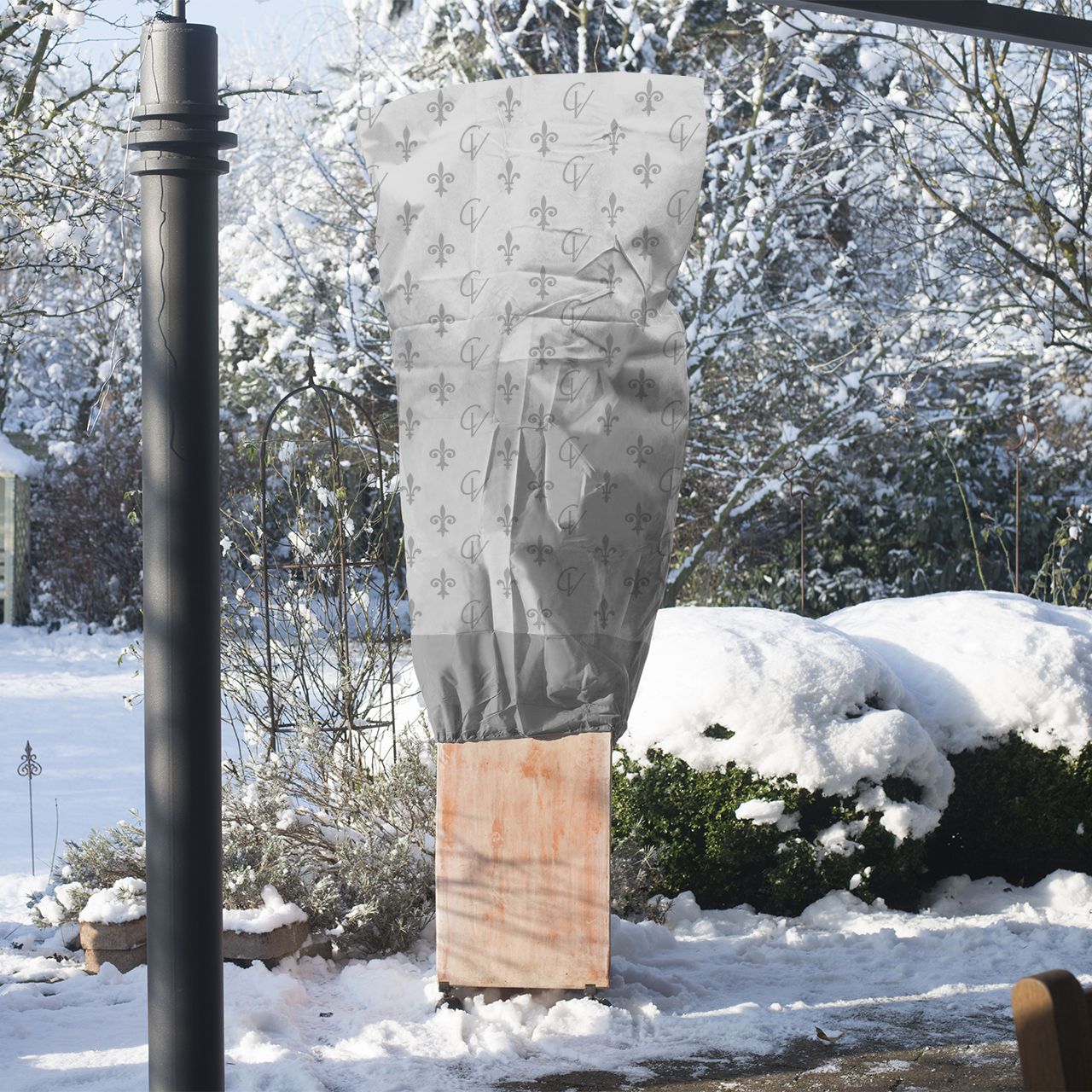 Winterschutz für XXL Pflanzen Palme Olivenbaum überwintern
