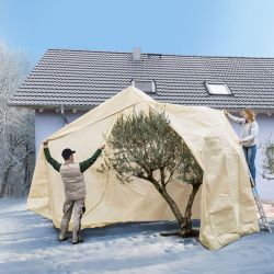 Winterschutz für XXL Pflanzen Palme Olivenbaum überwintern
