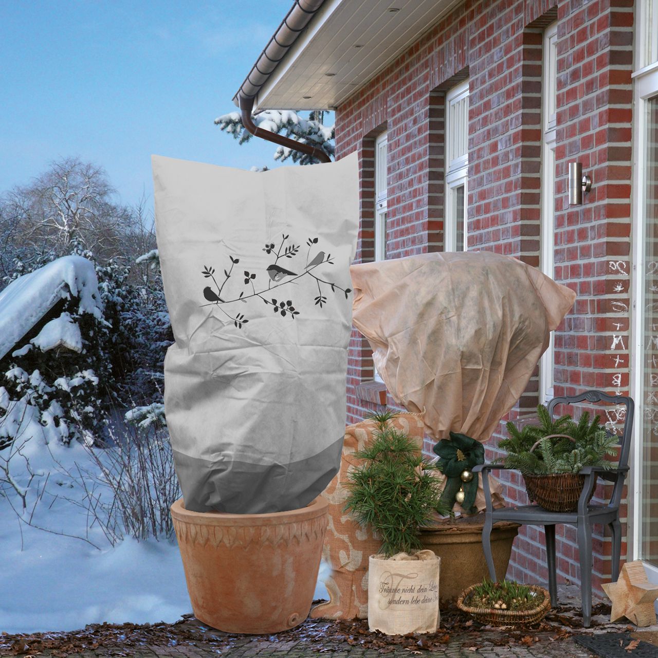 Winterschutz für XXL Pflanzen Palme Olivenbaum überwintern