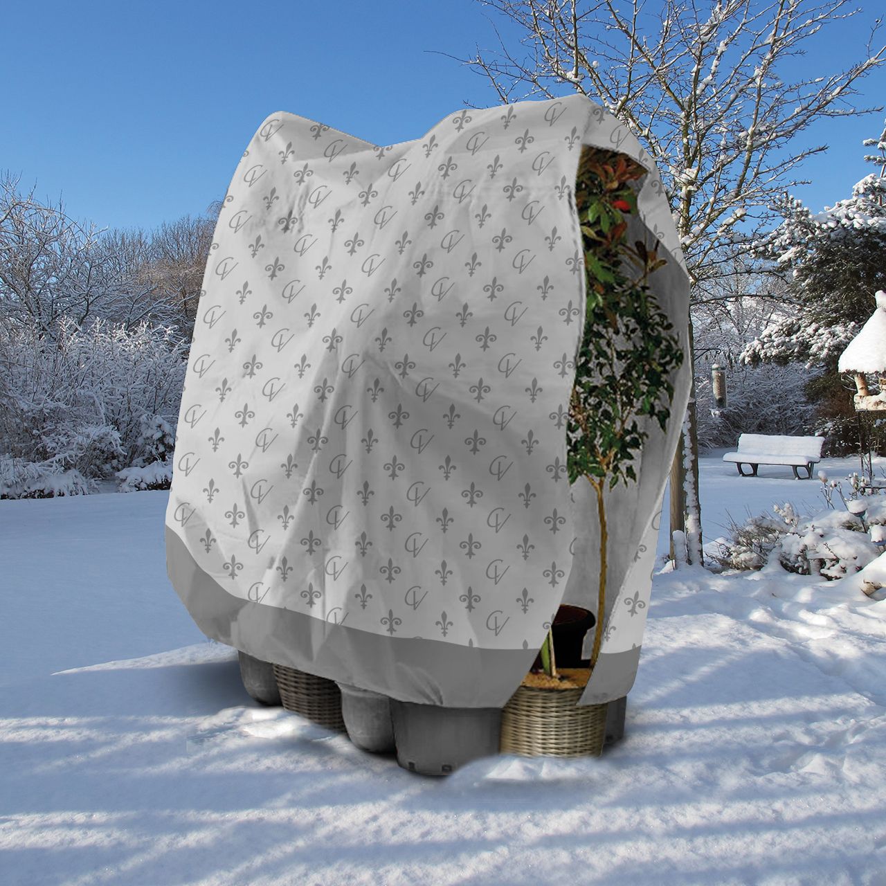 Winterschutz für XXL Pflanzen Palme Olivenbaum überwintern